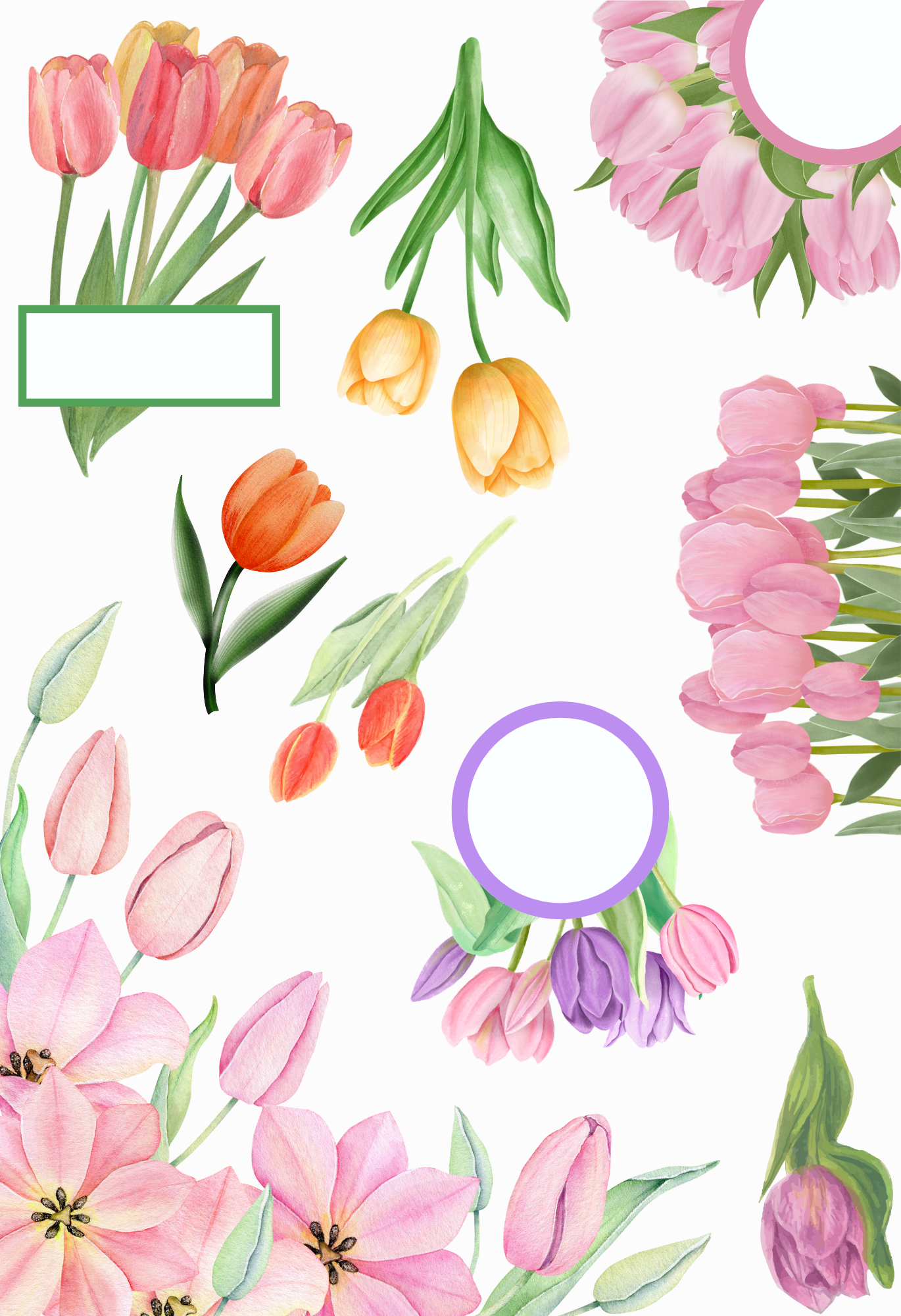 Kit de Stickers (5 Hojas) "Floral" Para Agenda/Journal/Libretas/Calendario